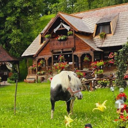 Pensiunea Rustic Oncesti Kültér fotó