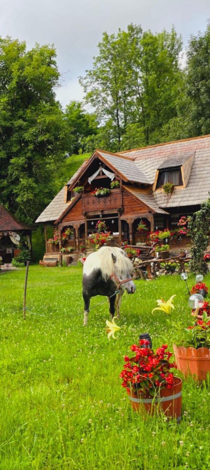 Pensiunea Rustic Oncesti Kültér fotó