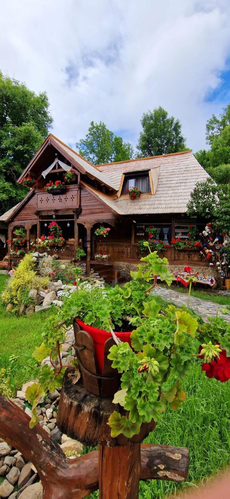 Pensiunea Rustic Oncesti Kültér fotó